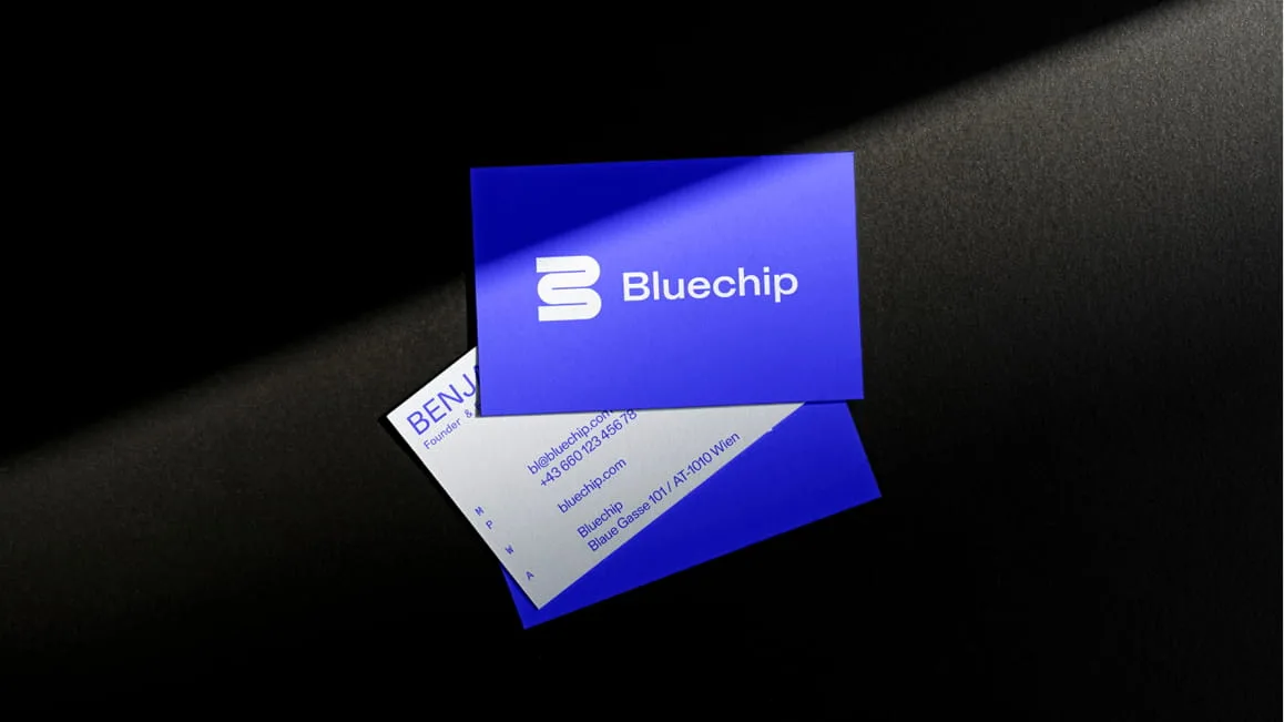 Art Direction and Identity for Stable Coin Rating  Platform Bluechip